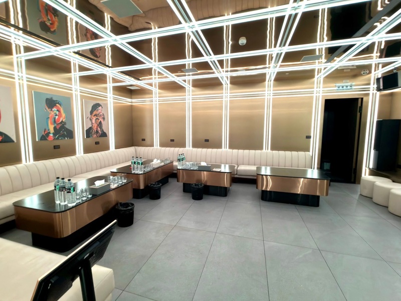 ROOM 9 T9 內湖招待所小包廂全景－白色絨布弧形沙發，玫瑰金桌台，格柵燈光天花板，藝術掛畫裝飾，台北內湖區頂級包廂